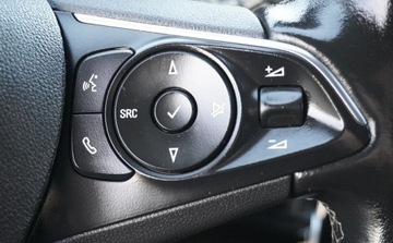 Opel 2017 Opel Grandland X Bezwypadkowy Serwisowany 1-Wlasciciel Grz.Fotele Kierowni, zdjęcie 29