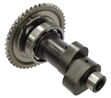 Wałek rozrządu do Hisun Tactic 550 Moretti