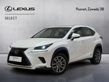 Lexus NX I SUV 300h 197KM 2017 Lexus NX 300h Comfort AWD I (2014-2021) Lexus NX 3