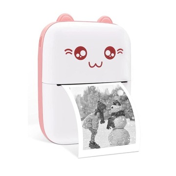 МИНИ-ТЕРМОПРИНТЕР DRUKUŚ CAT + 11 РОЛИКОВ