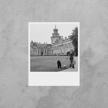 Открытка: Фрида Polaroid Art Lue Photography