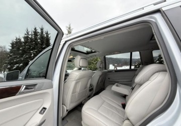 Mercedes Klasa GL X164 2011 Mercedes-Benz GL Mercedes-Benz GL 350 BlueTEC 4Matic 7G-TRONIC 3.0 Diesel, zdjęcie 21