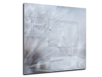 panel szklany między meble dekor 60x60 dmuchawiec