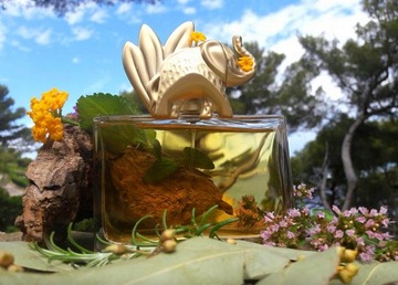 Kenzo Jungle L'Elephant парфюмированная вода для женщин 100 мл