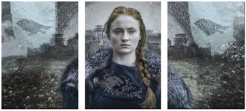 3x OBRAZ NA ŚCIANĘ GRA O TRON SANSA STARK 50x70