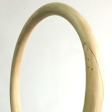 Тренировка запястья Вин Чун с ротанговым кольцом