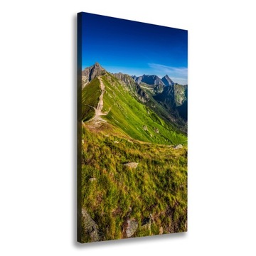 Foto-obraz zdjęcie na płótnie Tatry 50x100 cm
