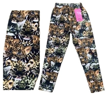 Legginsy PRINT całe w koty dzikie i domowe r. 104
