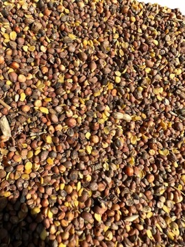 Масляная редька 25 кг