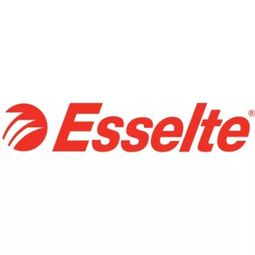Кристаллические гильзы А4 55 мкм Esselte 100 шт.