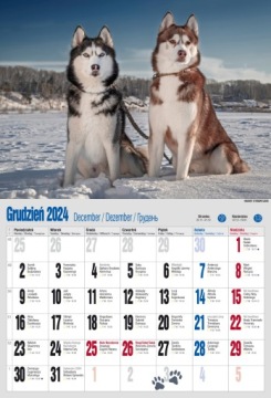 Календарь 2024 настенный LARGE 32x47cm DOGS