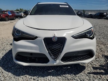 Alfa Romeo Stelvio 2020 Alfa Romeo Stelvio 2020 2.0l 2.0 Benzyna 280KM, zdjęcie 5