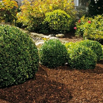 КОРА СОСНОВАЯ ТОЛСТАЯ СОРТИРОВАННАЯ САДОВАЯ 80л