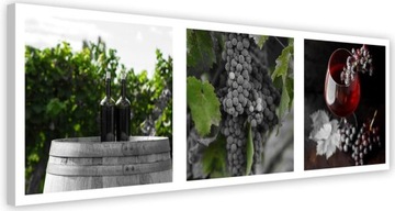Obraz drukowany 70x25 wino winnica butelka
