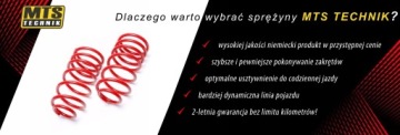 ПЕРЕДНИЕ ПРУЖИНЫ MTS -40 ДЛЯ DODGE CALIBER 2006-2012