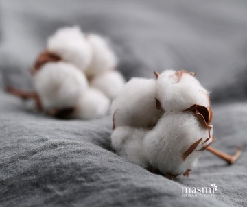 Гигиенические прокладки Masmi SOFT ультратонкие анатомической формы, 24 шт.