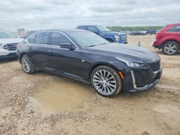 Cadillac 2020 Cadillac CT5 Premium Luxury 2020 2.0 Benzyna 237KM, zdjęcie 4