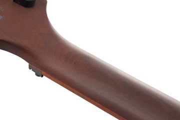 Электрогитара Ibanez RG420 HPFM ALG 24h