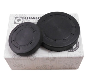 ZAŚLEPKI WAŁKA ROZRZĄDU RENAULT MEGANE 1.4 1.6 16V