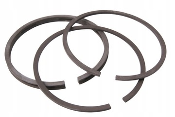 PIERŚCIENIE BRIGGS B&S 87,30 mm 391780 499996