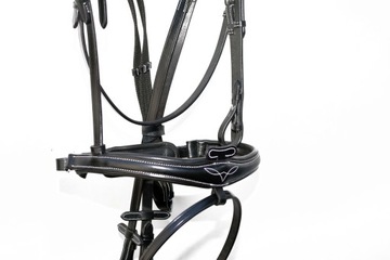 АНАТОМИЧЕСКИЙ ПРОФИЛЬНЫЙ БРИТЛ + РАЗМЕР ПОВОДА. ПОЛНЫЙ