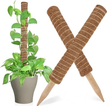 PODPORA PALIK KOKOSOWY 50cm TYCZKA DO ROŚLIN KWIATÓW GRUBY 2szt. po 30cm