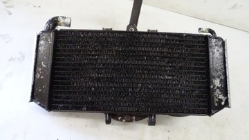 Yamaha Fazer FZS 600 98-03 Вентилятор радиатора