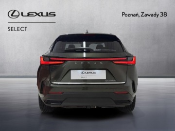 Lexus NX II SUV Facelifting 2.5 350h 243KM 2025 Lexus NX 350h Prestige AWD II (2021-) Lexus NX 350, zdjęcie 6