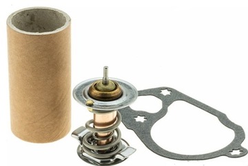 TERMOSTAT CADILLAC CTS SRX XTS STS ATS PONTIAC G6 G8 BUICK RENDEZVOUS 3.6