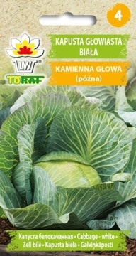 Kapusta głowiasta biała KAMIENNA GŁOWA 2g TORAF
