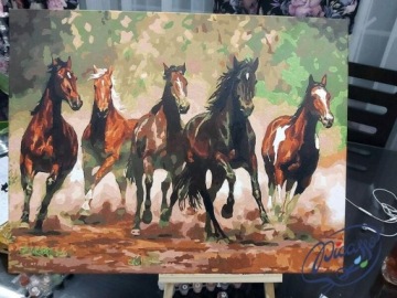 Набор КРАСКА ПО ЦИФРАМ - ИПИКАССО 40x50