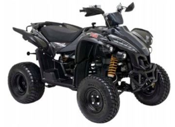 ЗАДНИЕ ТОРМОЗНЫЕ КОЛОДКИ Quad TGB TARGET 250/325cc