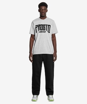 Męska szara koszulka t-shirt PROSTO Triz S