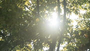 NiSi фильтр черного тумана 1/4 72 мм