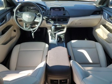 Cadillac 2023 Cadillac CT4 Luxury 2023 2.0l 2.0 Benzyna 237KM, zdjęcie 8
