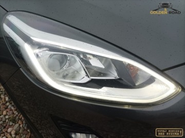 Ford Fiesta VIII Hatchback 3d 1.0 EcoBoost 125KM 2018 Ford Fiesta 1,0 ecoboost 125KM ACTIVE navi kamera alu led oplacona Benzyna, zdjęcie 19