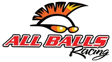 ВЕСЬ РОЛИК ВЕРХНЕЙ ЦЕПИ KTM Adventure 640 99-07