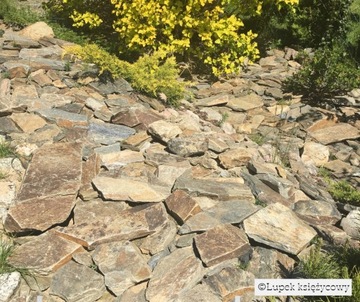 Kamień skalniakowy, łupek na skalniak, bryły, skalniak, kamień do ogrodu