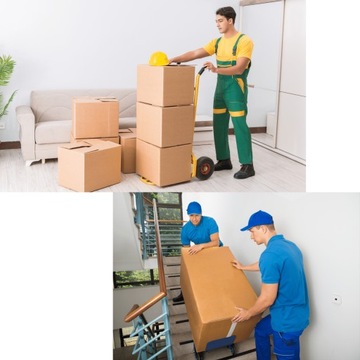 WÓZEK TRANSPORTOWY SCHODOWY Z FUNKCJĄ DRABINY DRABINA 80/250KG DWUKOŁOWY