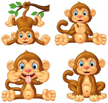 NAKLEJKI NA OKNO LUSTRO SZYBĘ MAŁPY MAŁPKI