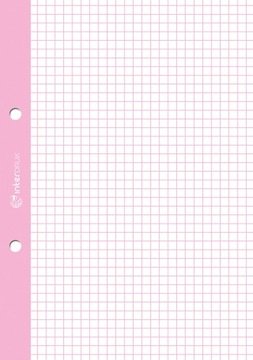 Вкладыш для скоросшивателя с цветной сеткой А5 50к х 10.