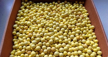 Wypełniacz-NATURALNY do paczek 5kg (cztery kolory)