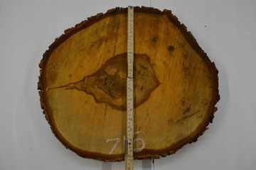 Срез каштана 47х41 см Толщина: 4,5 см Столешница