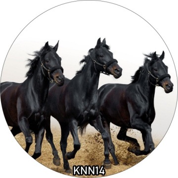 Украшение для торта вафельное HORSE круглое 20 см на день рождения