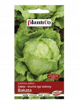SAŁATA LODOWA KRUCHA BAKATA NASIONA 1g