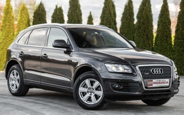 Audi Q5 I SUV 2.0 TFSI 211KM 2009 Audi Q5 2.0T 211KM 4X4 Skora Bixenon Navi Grza...