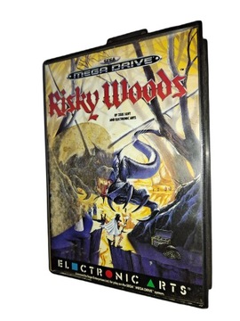 Risky Woods / Sega Megadrive / Mega Drive
