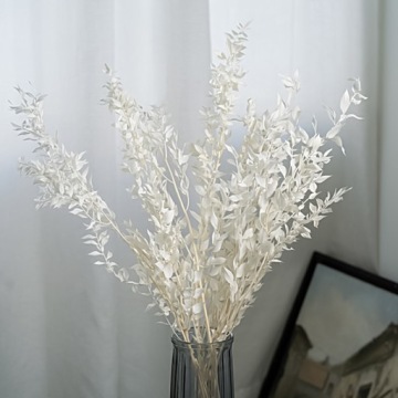 РУСКУС ОТБЕЛЕННЫЙ СУШЕНЫЙ БЕЛЫЙ РУСКУС ДЛЯ КОМПОЗИЦИИ БУКЕТА 5ШТ