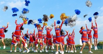 РОЗОВЫЕ ПОМПОНЫ ЧИРЛИДЕР ПОМПОНЫ ЧИРЛИДЕР 2 шт.