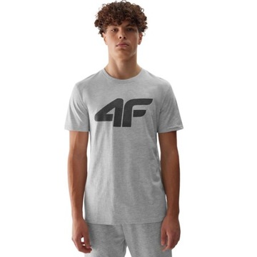 МУЖСКАЯ ФУТБОЛКА 4F МАЙКА СПОРТИВНАЯ БЛУЗКА НА КАЖДЫЙ ДЕНЬ